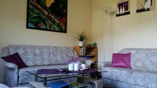 Apartment Am Hemberg - 8