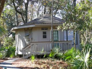 13 Night Heron - Hilton Head Island - 0