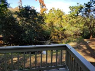23 Night Heron - Hilton Head Island - 8