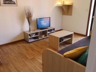 Appartement T2 avec Balcon, Parking et WiFi - Proche Thermes et Centre ville, 4 pers. - FR-1-313-222 - Luchon - 5