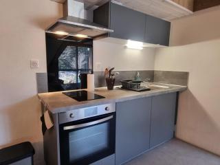 Gîte et studio avec cheminée, terrasse, salle de jeux et nature préservée à La Versanne - FR-1-496-280 - La Versanne - 1