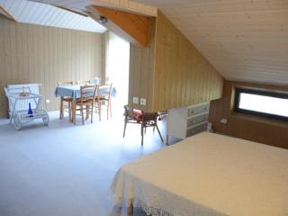 Gîte et studio avec cheminée, terrasse, salle de jeux et nature préservée à La Versanne - FR-1-496-280 - La Versanne - 5
