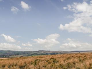 Briar Cottage - 4