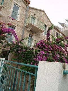 Apartments Obala - Dragović - 5