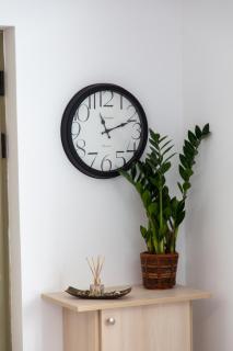 ALEX.the flat - Argostoli - 3