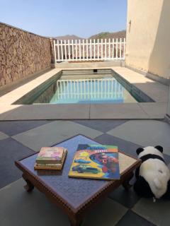 Jai Villa Homestay - Udaipur - 0