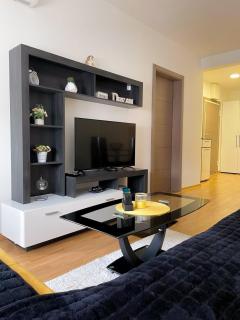 Apartman Natasa - Vrnjačka Banja - 9