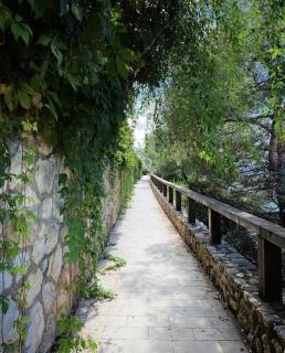 For a Stay Bahia - 3