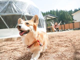 Lupo Forest "GRAN FOREST Echizen Miyama" - Vacation STAY 07123v - Fukui - 8