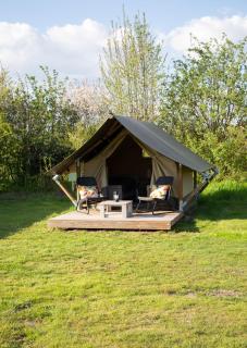 Safaritent Lodge 2 (2 persoons) - Ruurlo - 6