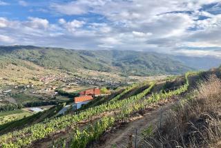 Quinta da Penada - Vineyard & Winery - Suíte 3 - Chaves - 2