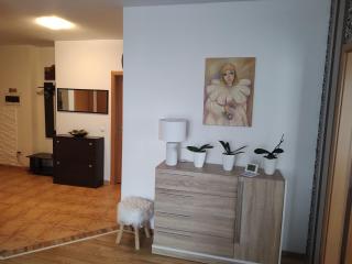 Avantgarden1 .Apartament lux - Braşov - 8