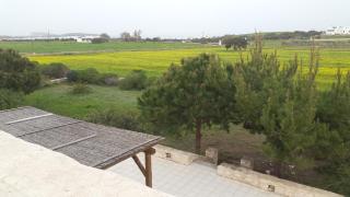 Casa Maximos - 4