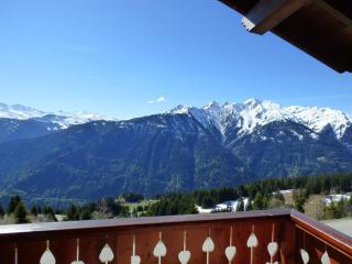 Appartement skis aux pieds, 4 pièces avec mezzanine, balcon, pour 10 pers - Les Saisies - FR-1-594-198 - 9