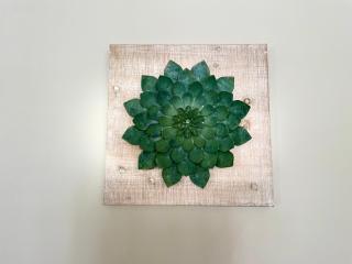 Nolan garden house in whitfield - 1