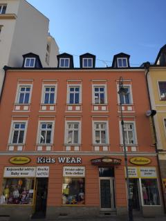 Pension Dvořák - Karlovy Vary - 5