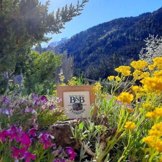 Maso Pin - Madonna di Campiglio - 8