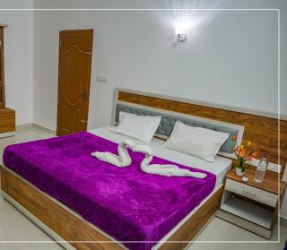 RAIN DROPS PREMIUM VILLAS - Athirappilly - Athirappilly - 1