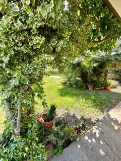 Jennas-Green Apartment - Cardedu - 7