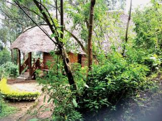 Lake Bunyonyi Eco Resort - 1