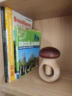 Lodge avec spa au coeur de Brocéliande - 4