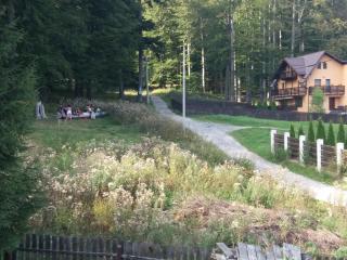 Apartament Potecuta Ursului - Buşteni - 6
