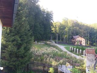 Apartament Potecuta Ursului - Buşteni - 9