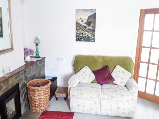 Shirley's Cottage - Othery - 9