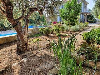 Hakuna Matata Holidays Agalia with airco & pool in Greek Olive Grove - Methoni - 3