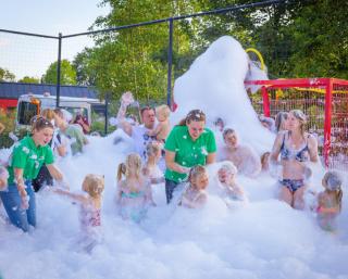 Recreatiepark de Boshoek - 3