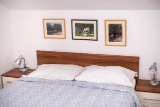 Apartments Karolina - 2