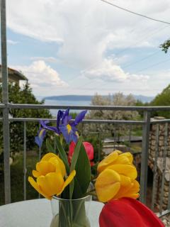 Apartman MARIJETA - Mošćenička Draga - 6