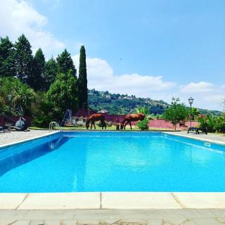 Villa Alessio - Case Vacanza con Piscina sull'Etna - Puntalazzo - 8