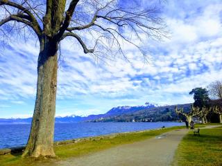 Bellerive, pieds dans l'eau lac & montagnes - Publier - 2