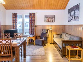 Holiday Home Tahkon alppitalo 4 as- 3 by Interhome - Tahkovuori - 8