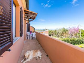 Apartment Gino by Interhome - Bibbona - 5
