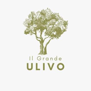 Il Grande Ulivo - 9