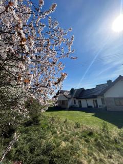 Agroturystyka Dom Skowronek - 6