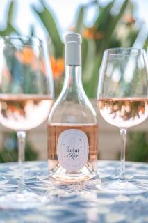 Nice studio sea front, terrace, ground floor - 6