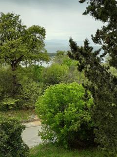 Apartman Safir - 4