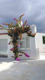 Private beautiful house - ( nice swimming Pool) - 2