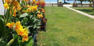 Bayside Apartments - 1