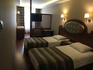 Grand Halic Goldenhorn - 8