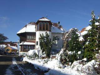 Land-gut-Hotel Landgasthof Hotel Ochsen - Schömberg - 2