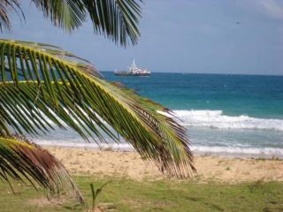 'Crows Nest' Studio Apt. - Isla Grande del Maíz - 0