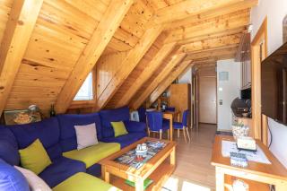 Apartamento con Encanto - Vielha - 5