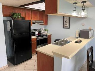 VENTURA 201 condo - South Padre Island - 2
