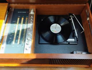 Cosy barn on rural smallholding with alpacas, goats & pigs - 4