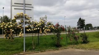 N&Z HOTELS - Trappes - 5