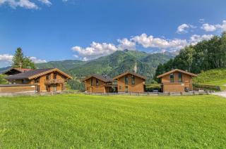 Ski-in Ski-out Chalet Maiskogel 17A - by Alpen Apartments - Kaprun - 5